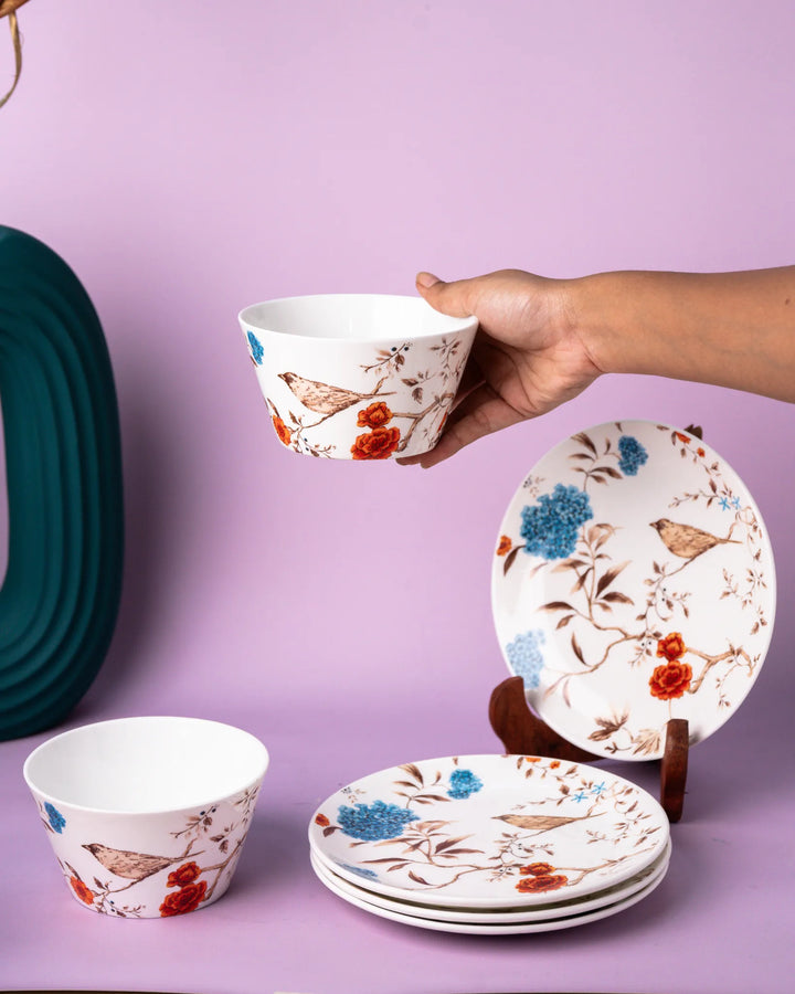The Soraa UPFRONT Suite - 2 BOWL 4 PLATE SET