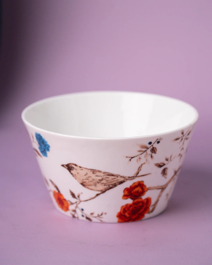 The Soraa UPFRONT Suite - 2 BOWL 4 PLATE SET