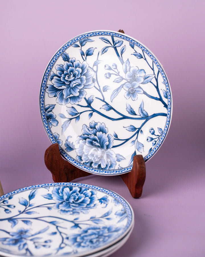 The Soraa Zenith Suite - 2 BOWL 4 PLATE SET